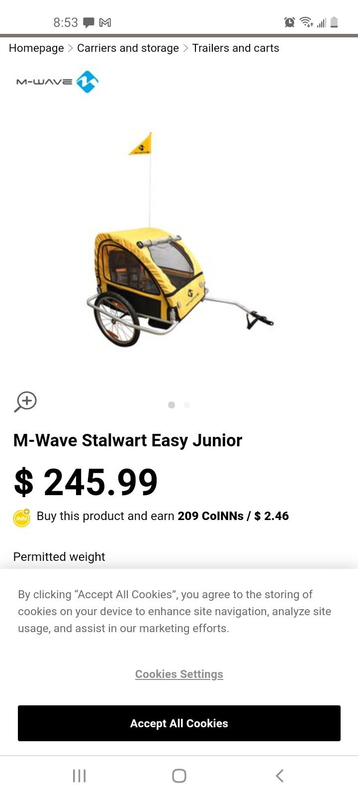 Toddler Bike Trailer