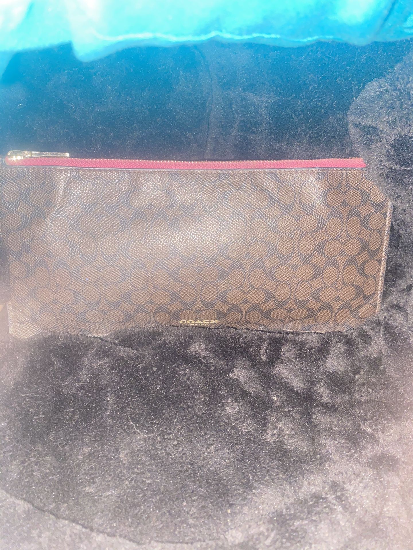 Coach Clutch Bag