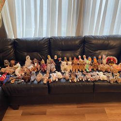 Beanie Baby collection Thumbnail