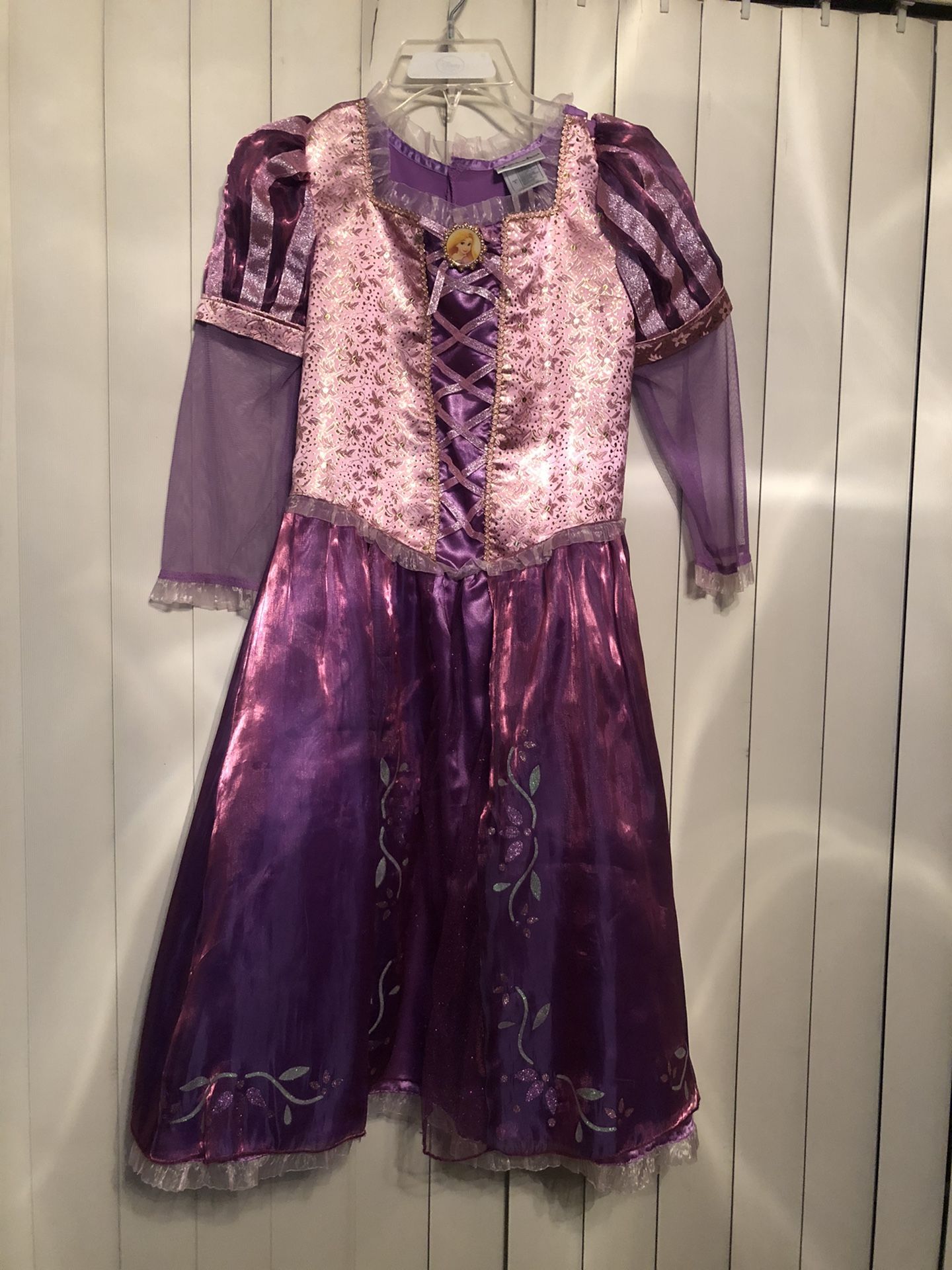Disney Princess Rapunzel Costume