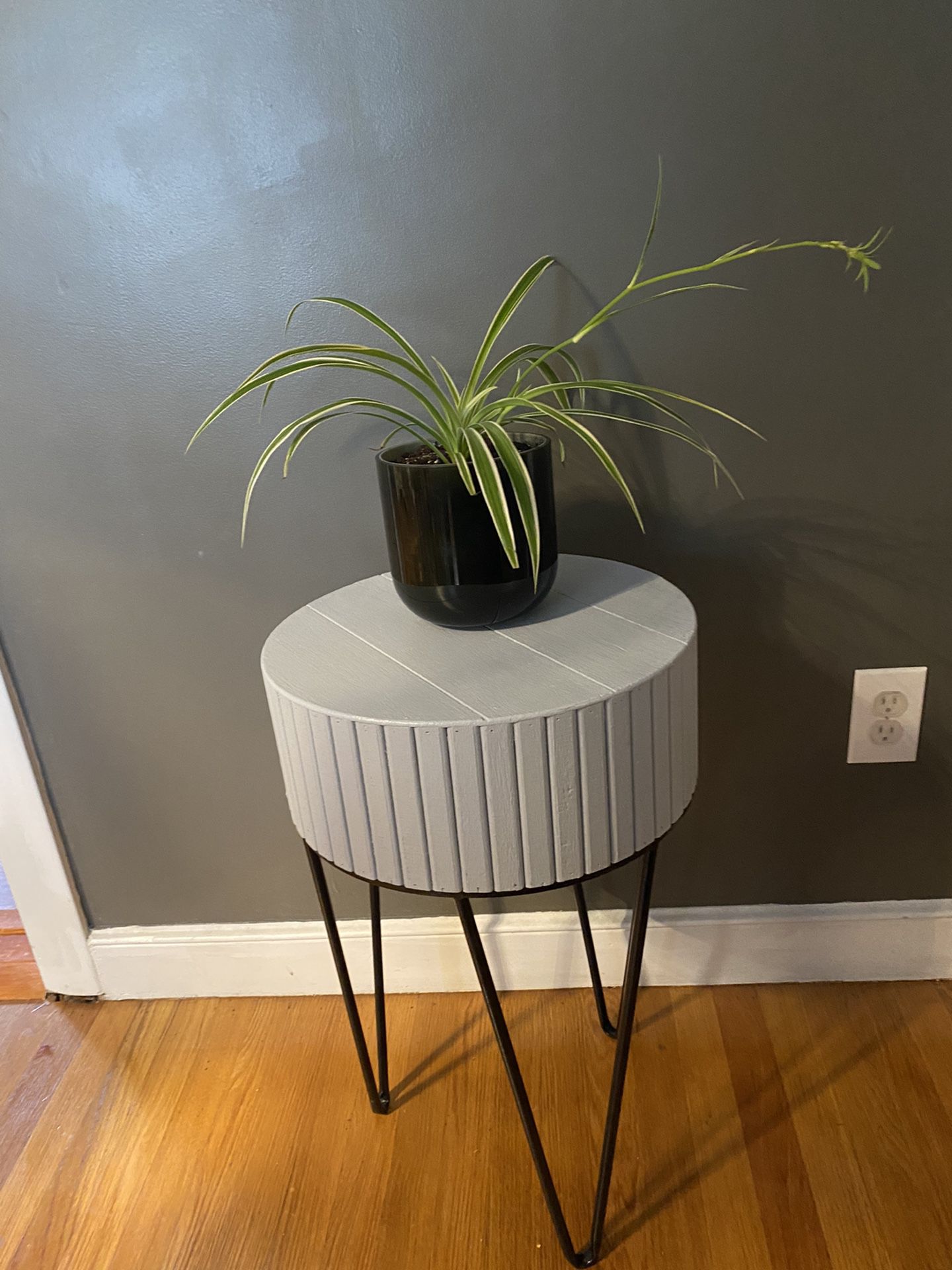 Plant And Stand