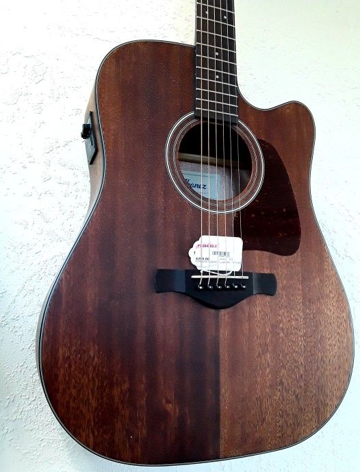 Ibanez Acoustic Electric Guitar w/gig bag!