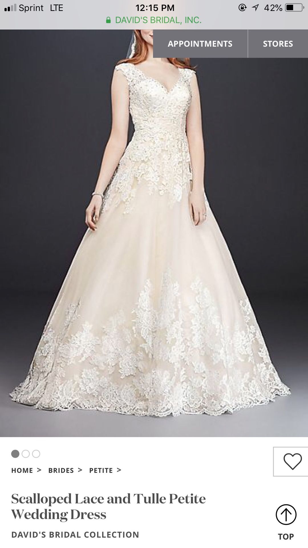 Wedding Dress 2P