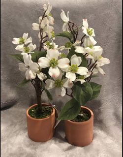 4 cts Dogwood & Magnolia beutiful Spring Flower  Thumbnail