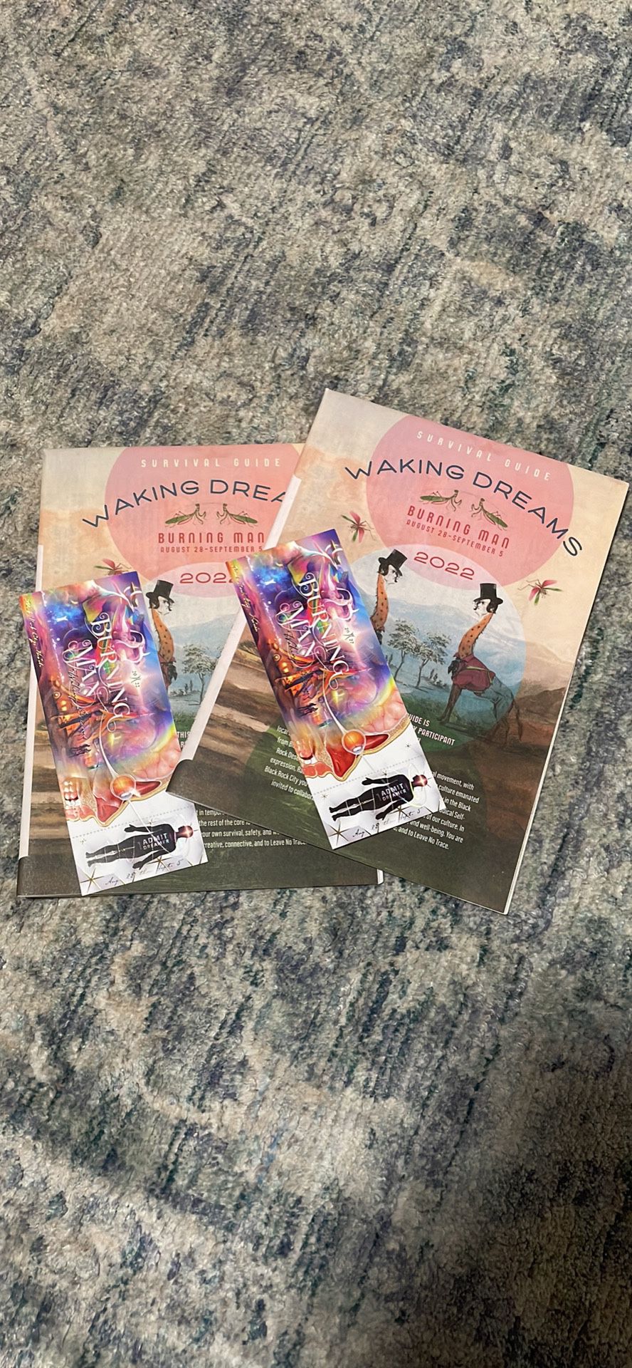 Burning Man 2022 Tickets (2x)
