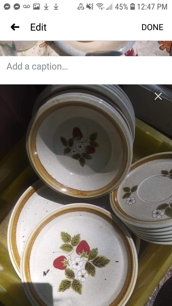 Mikasa Strawberry Festival Dinner set