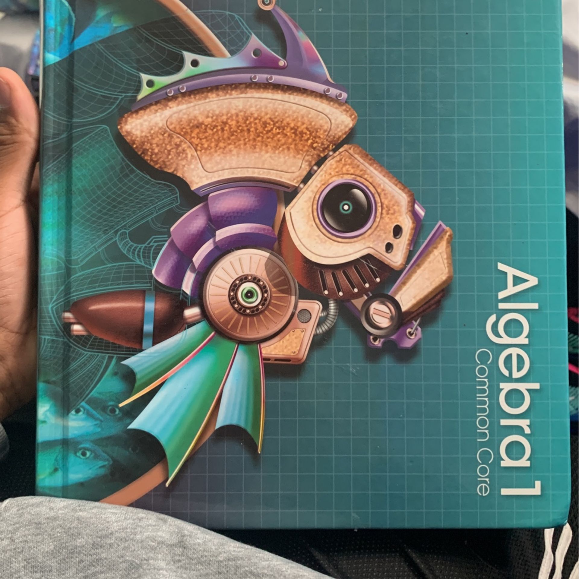 Used Algebra 1 Math 8,9 Grade