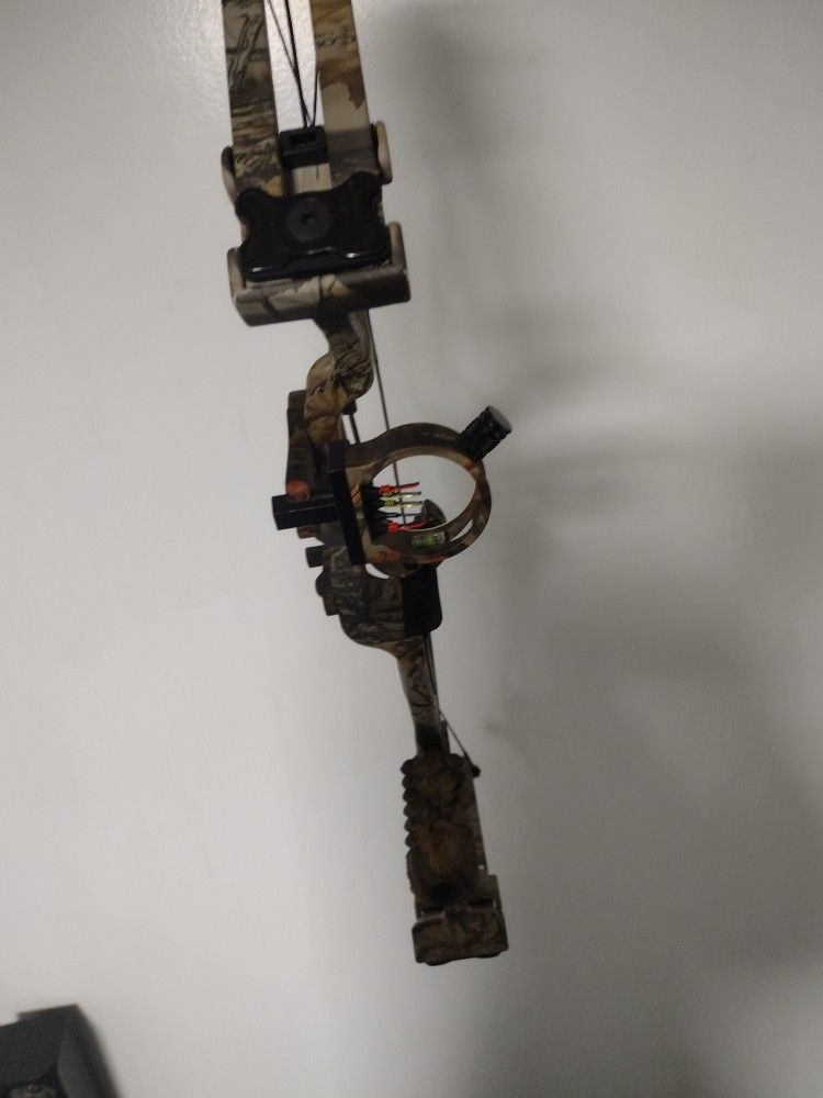 Compound Bow