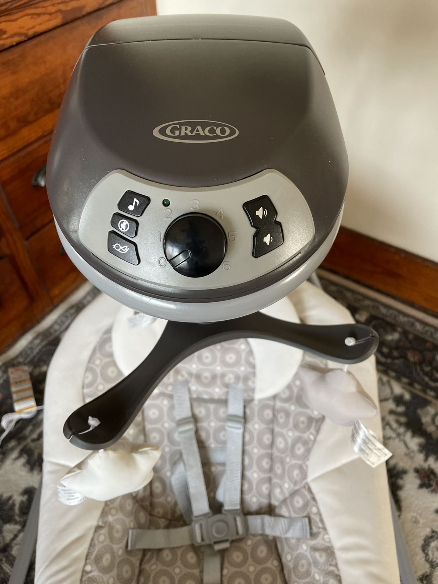 Graco Baby Swing With Music And Soothing Vibration