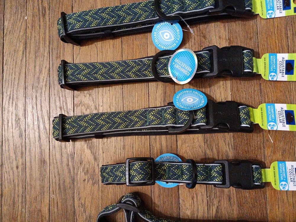 Green Padded Attractive Dog Collar