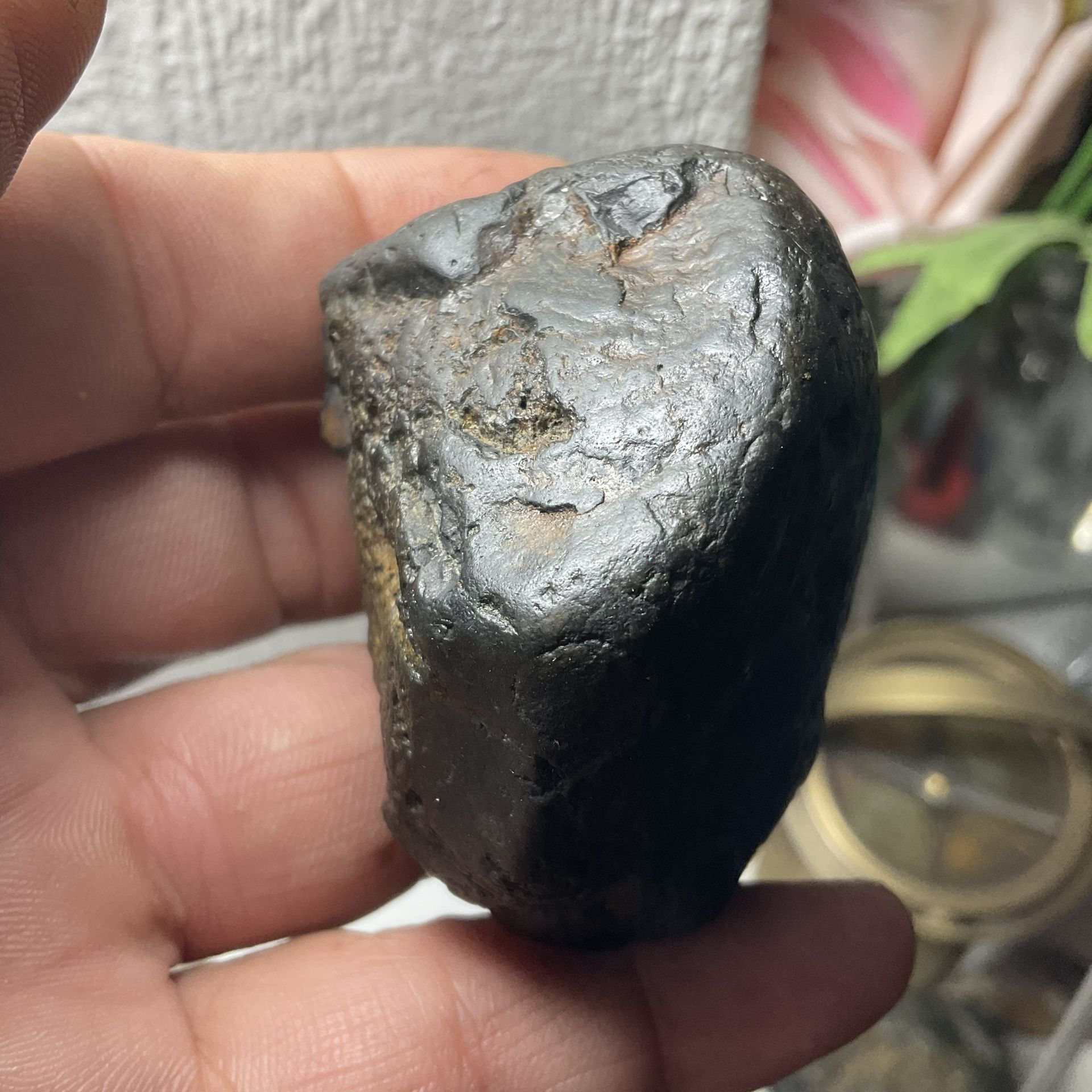 312 Grammies Meteroite
