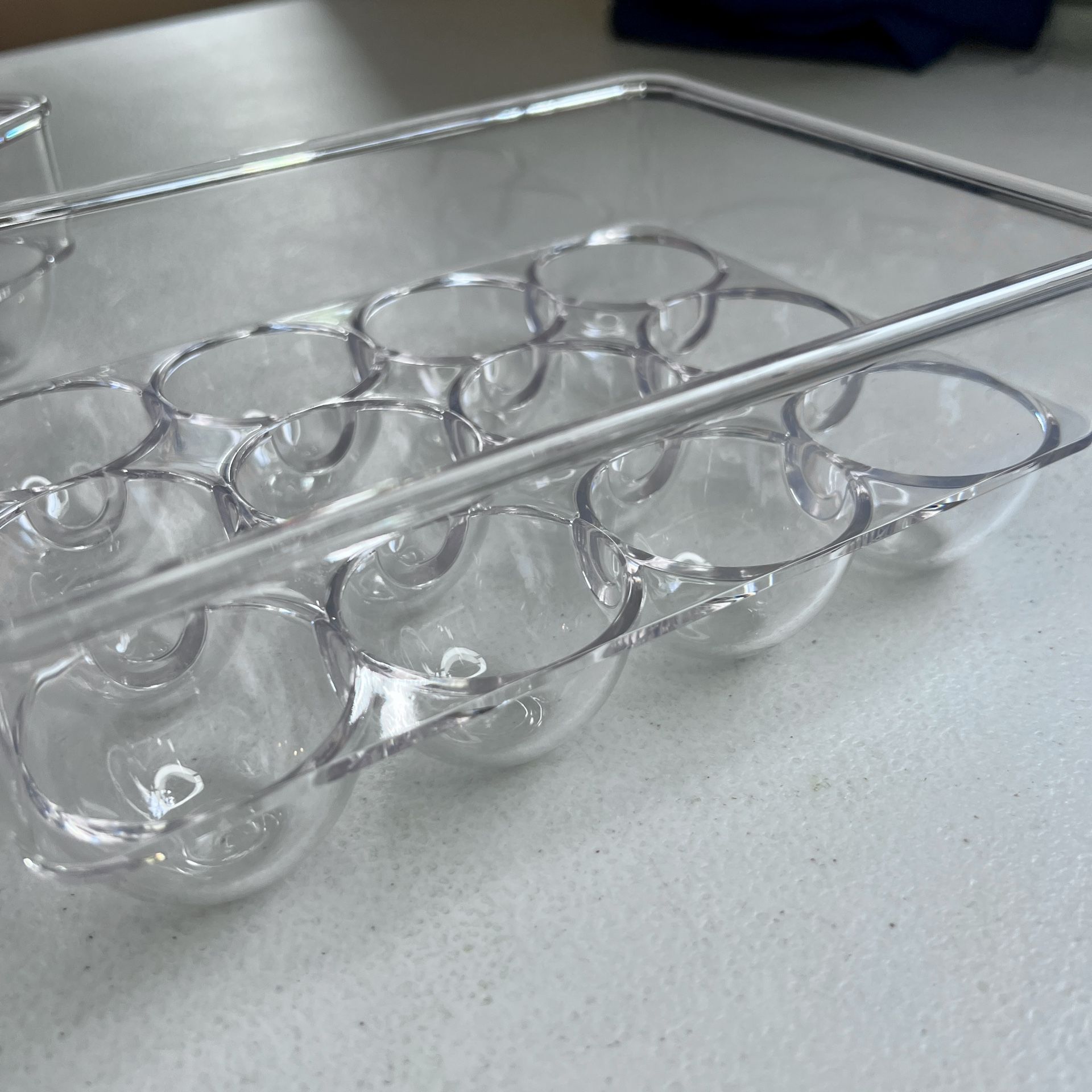 Egg Organizer/Holder (2)