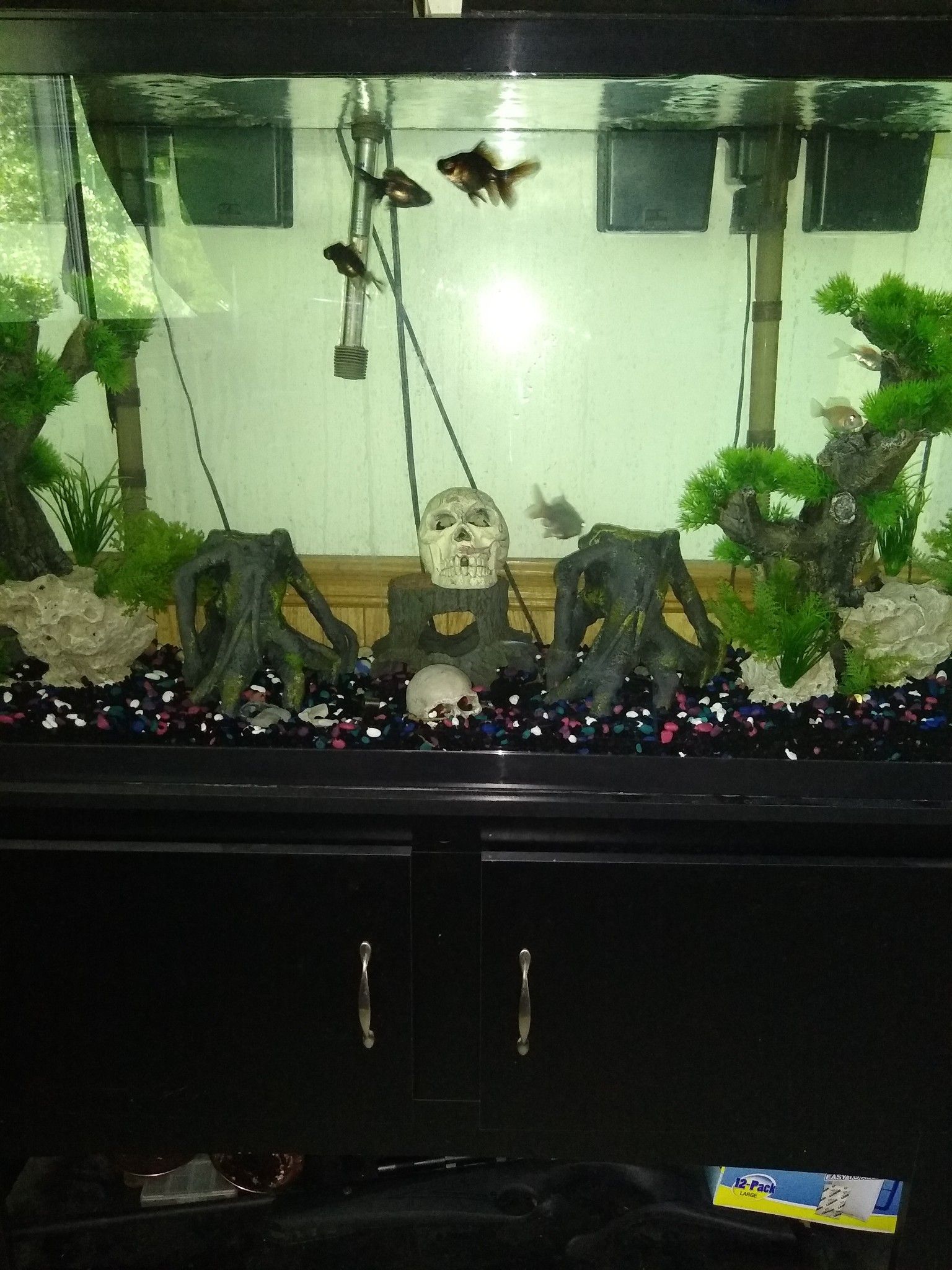 75 Gallon Fish Tank with stand and all included