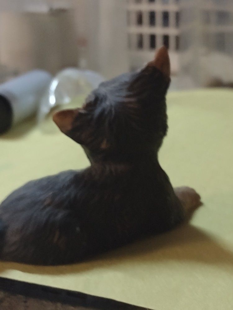 Lennox DogTerrier Figurine