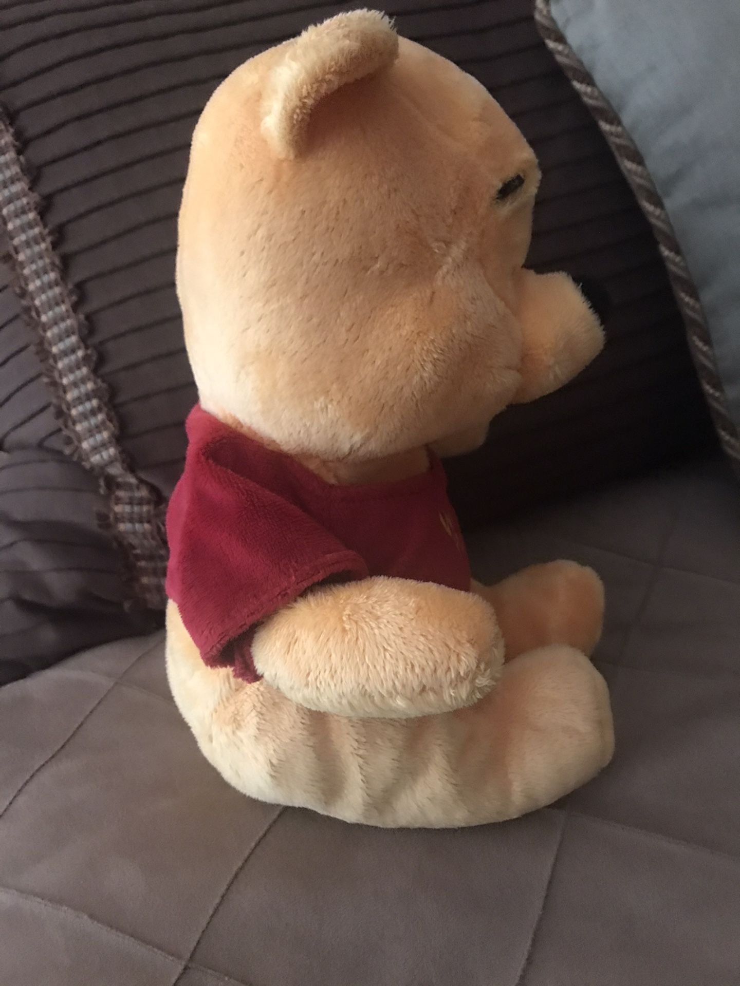 Plush Winnie the Pooh