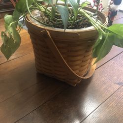 Longaberger Basket And Plant Thumbnail