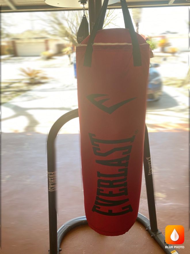 punching bag with stand