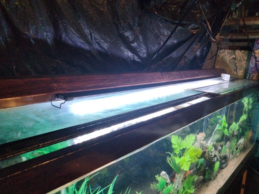 125 Gallon Fish Tank In Stand Obo