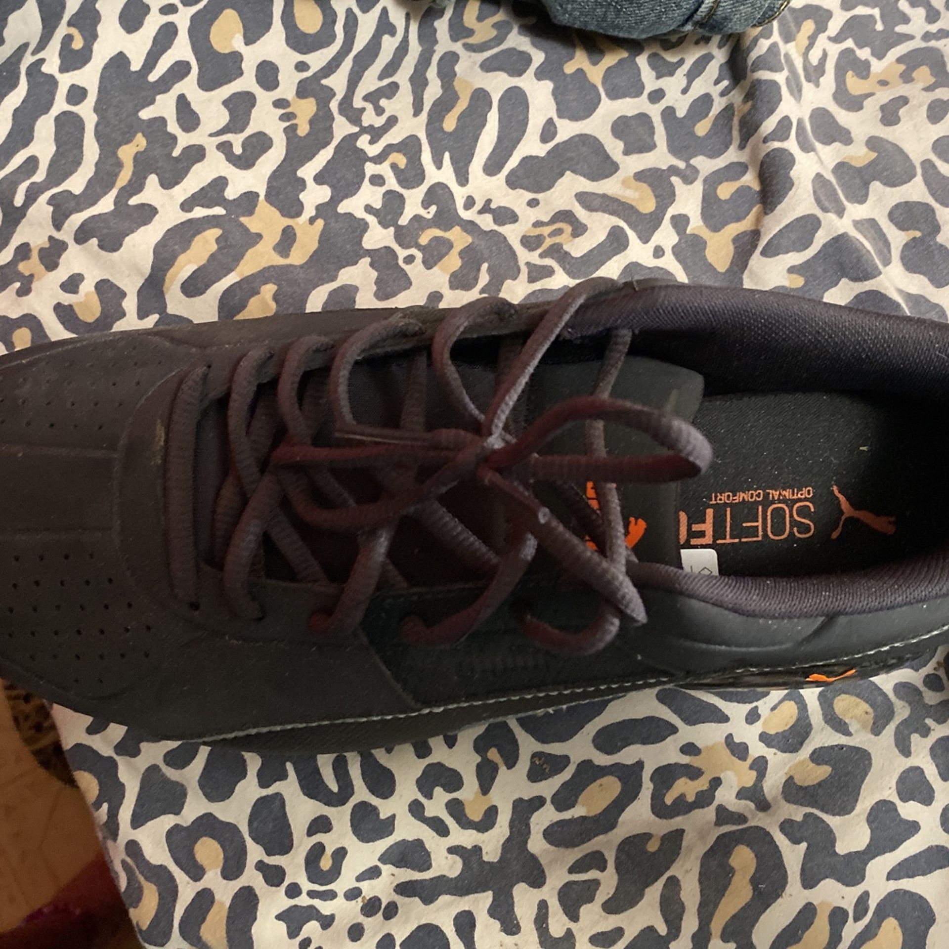 Puma