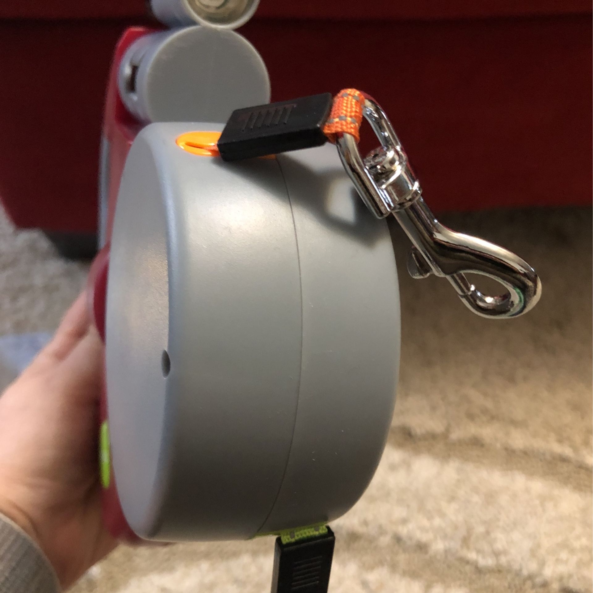 Leash For 2 Dogs And Light