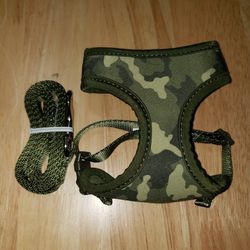 Harness / Leash For Small Dog Or Cat Thumbnail