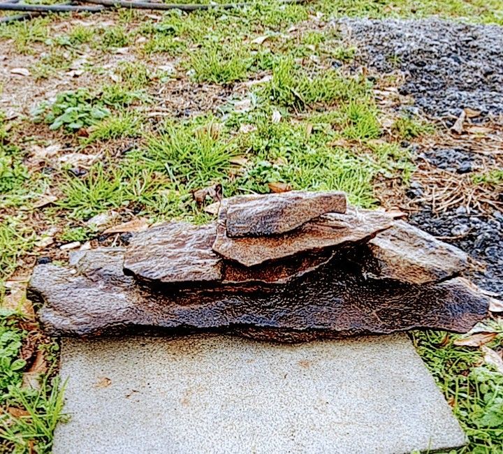 Creek Flat Auquarium, Reptile Rocks