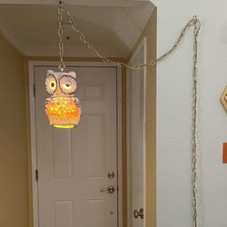 ***PENDING SALE***Vintage Mid Century Modern Pottery Lucite Owl Hanging Swag Lamp Thumbnail