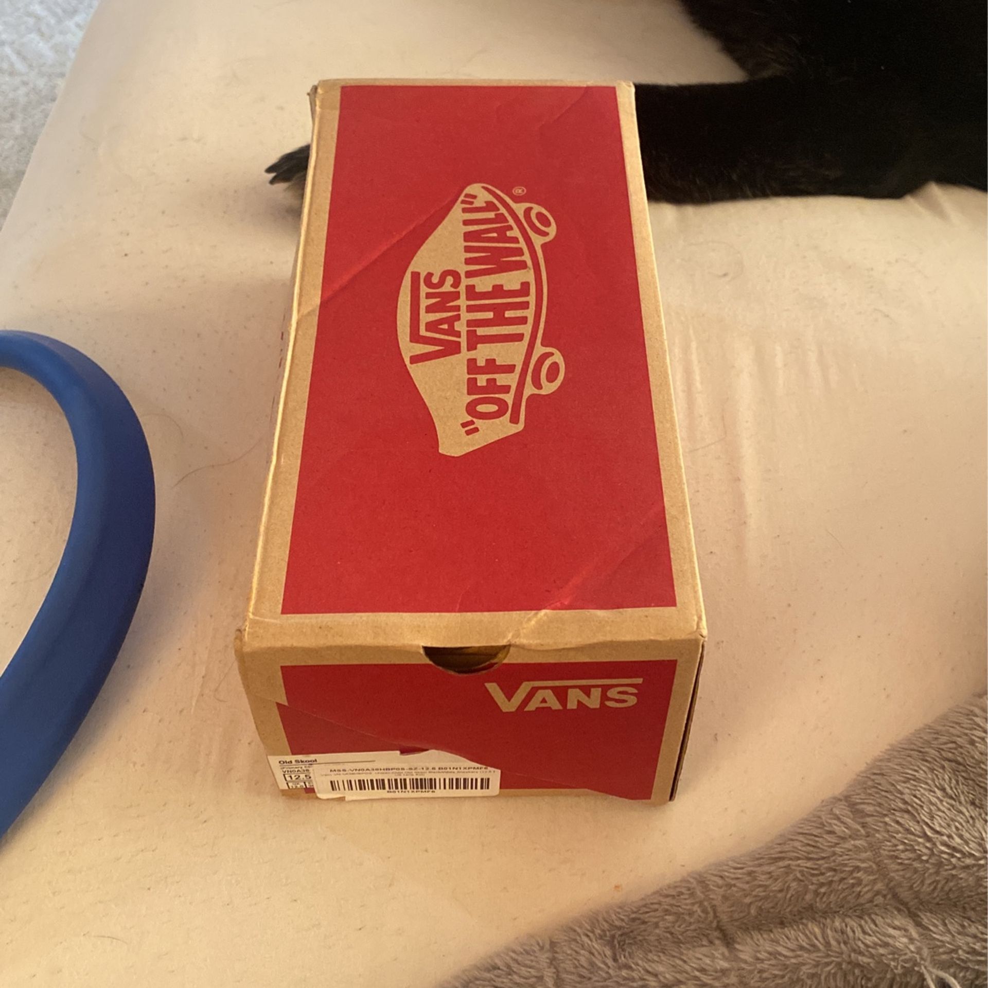 BRAND NEW YOUTH 12.5 VANS