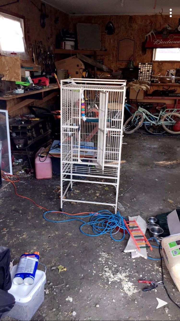 Huge nice bird cage with toys and food bowls we got the cage brand new for 500 hundred