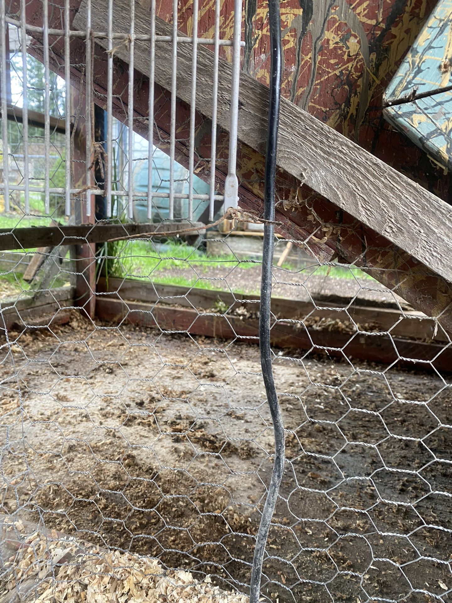 FREE!! LARGE CHICKEN COOP!!