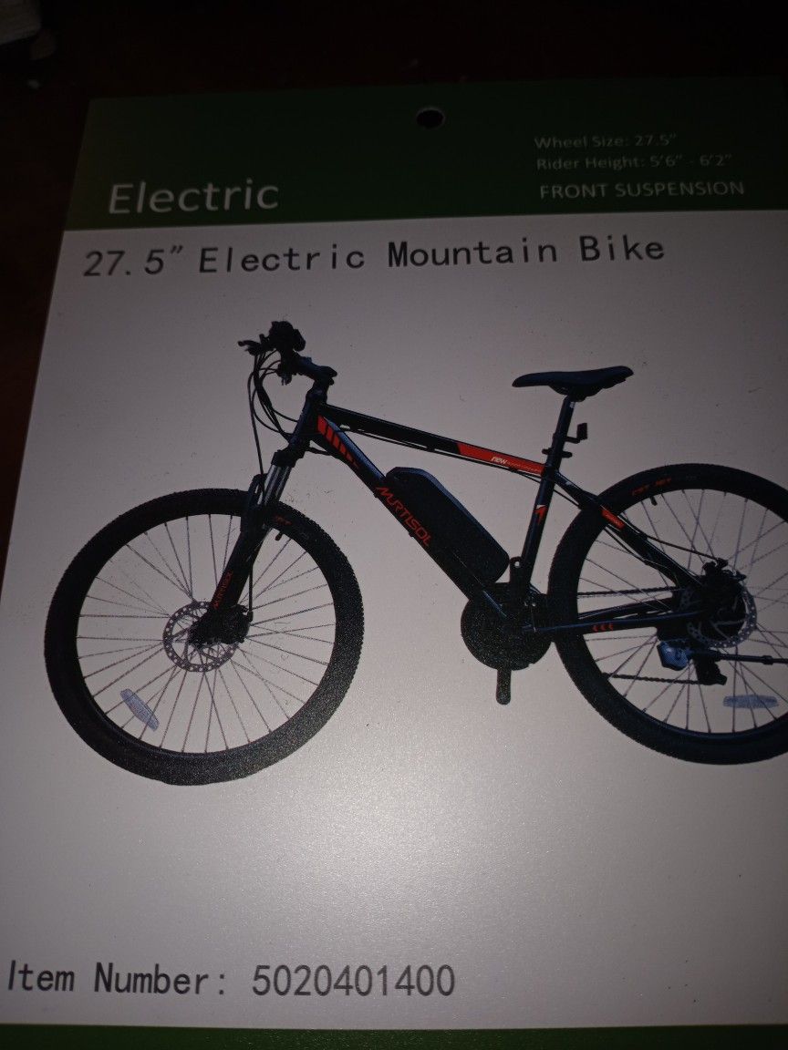 Electric Bicycle