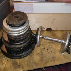 Olympic Steel Weights 2 Dumbbells  Thumbnail