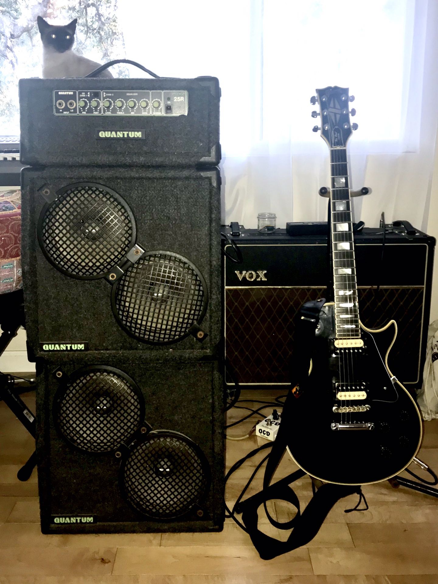 Quantum Terminator 25R guitar amp mini stack (amplifier) for Sale in