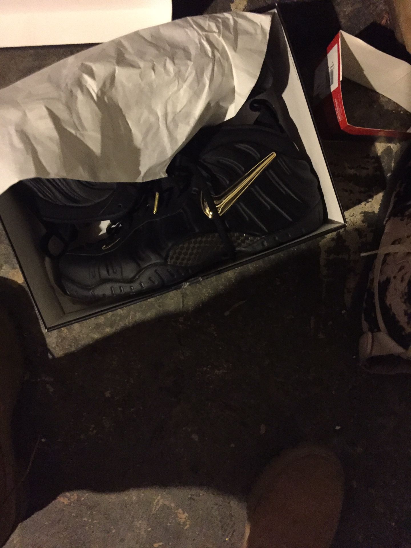 Foamposite size 12