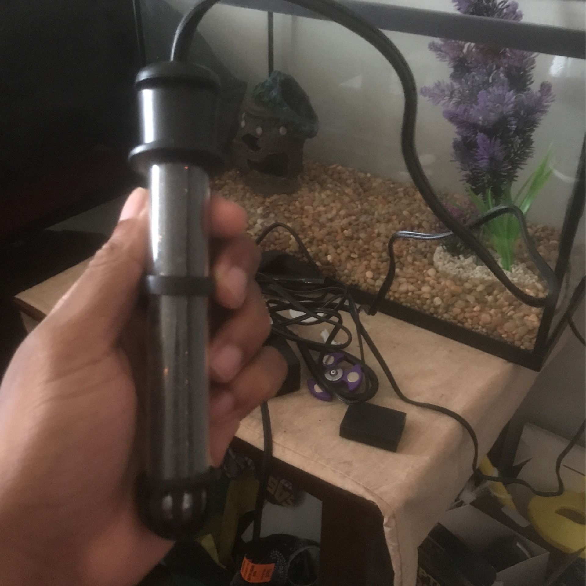 10 Gallon Fish Tank W/ Essentials