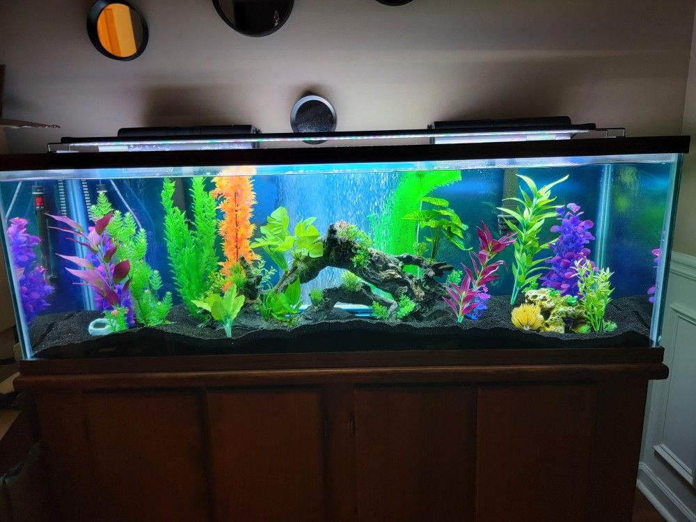 100 Gallon Fish Aquarium