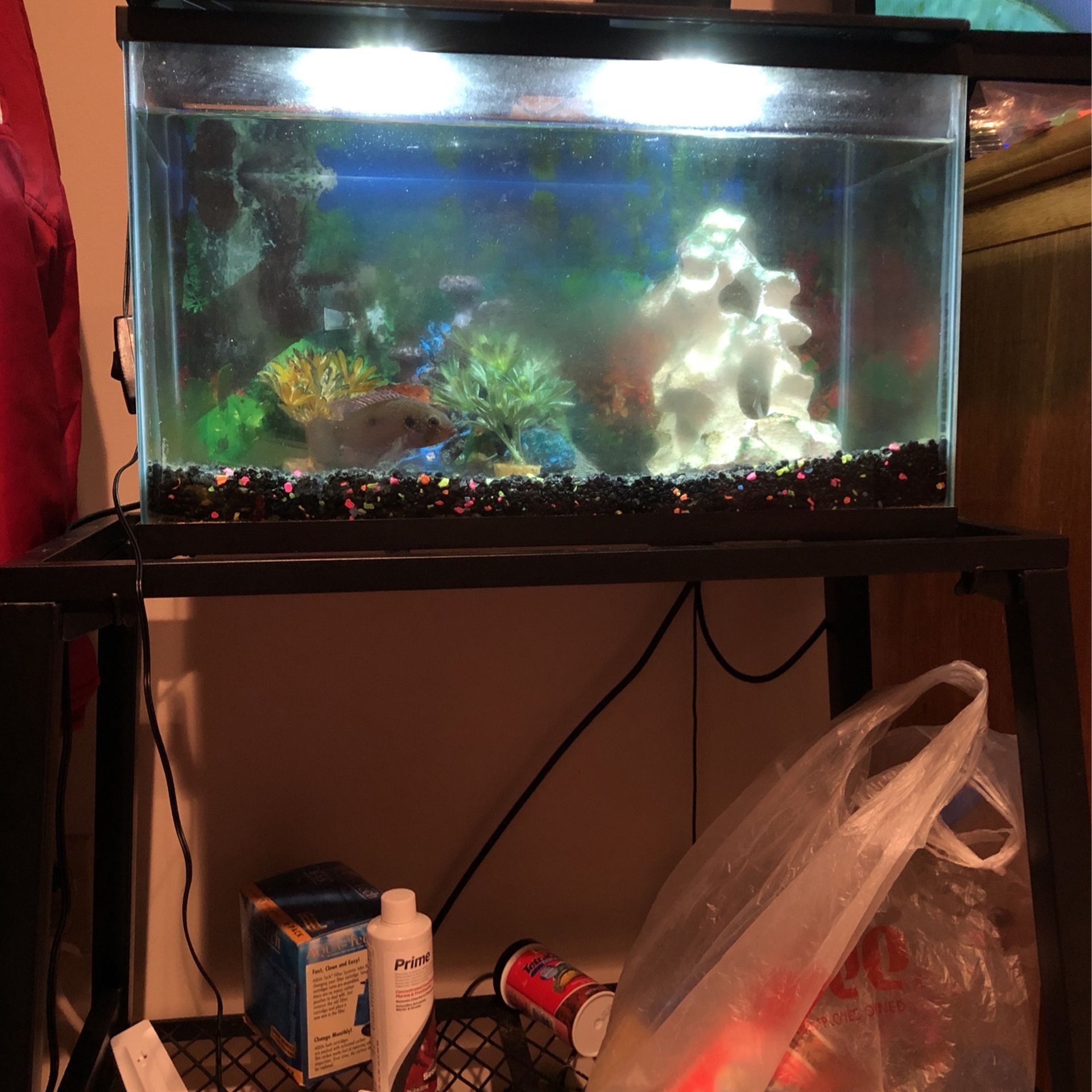 10 Gallon Fish Tank Whit Stand And 1 Fish Cichlid,With 5 Brand New Filter Whit Decorations .