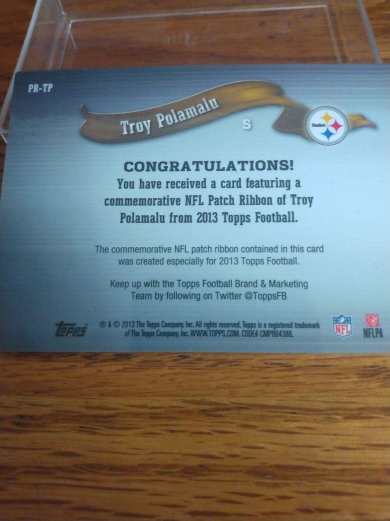 Troy Polamalu