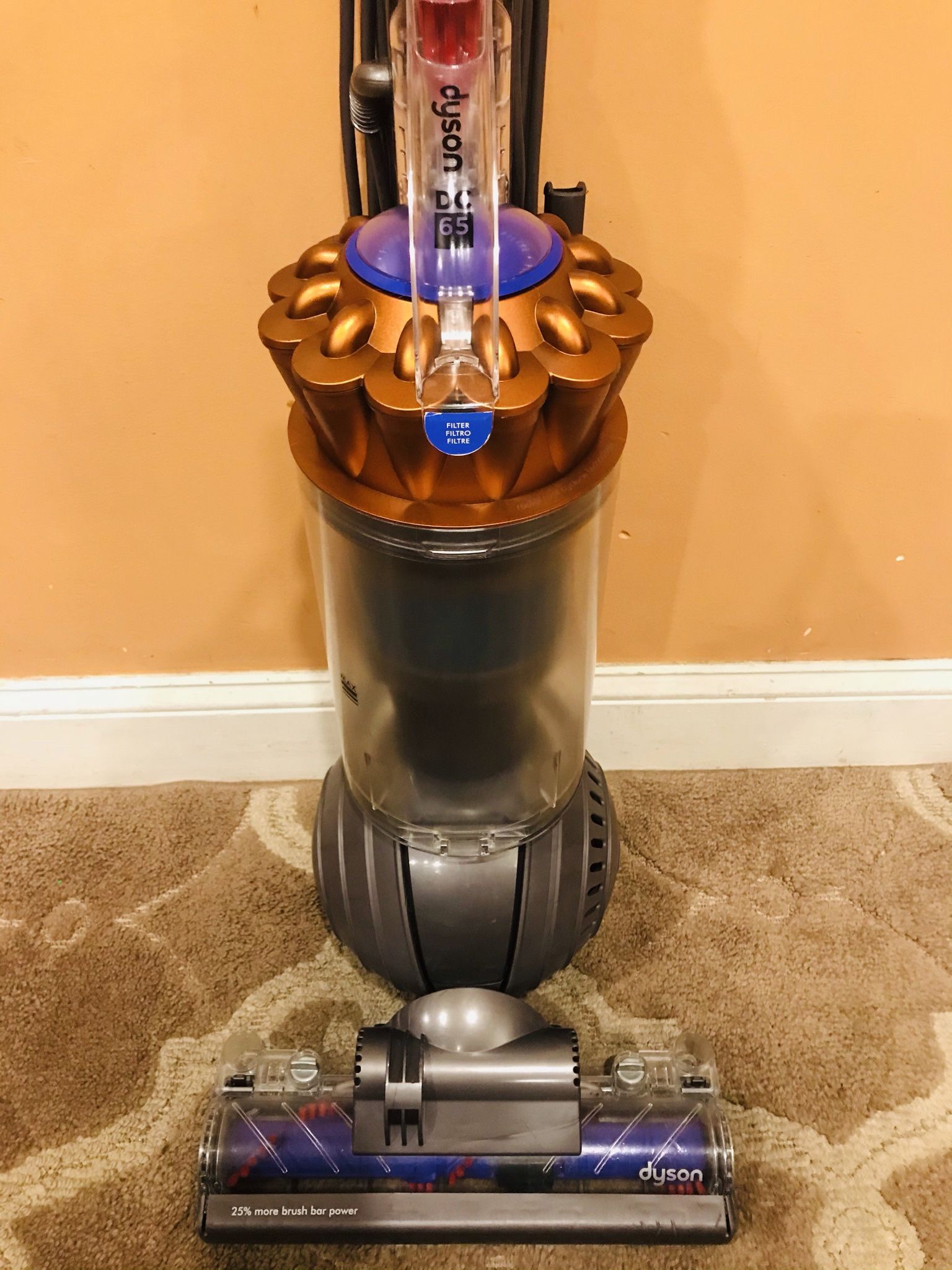 Dyson DC 65 vacuum cleaner