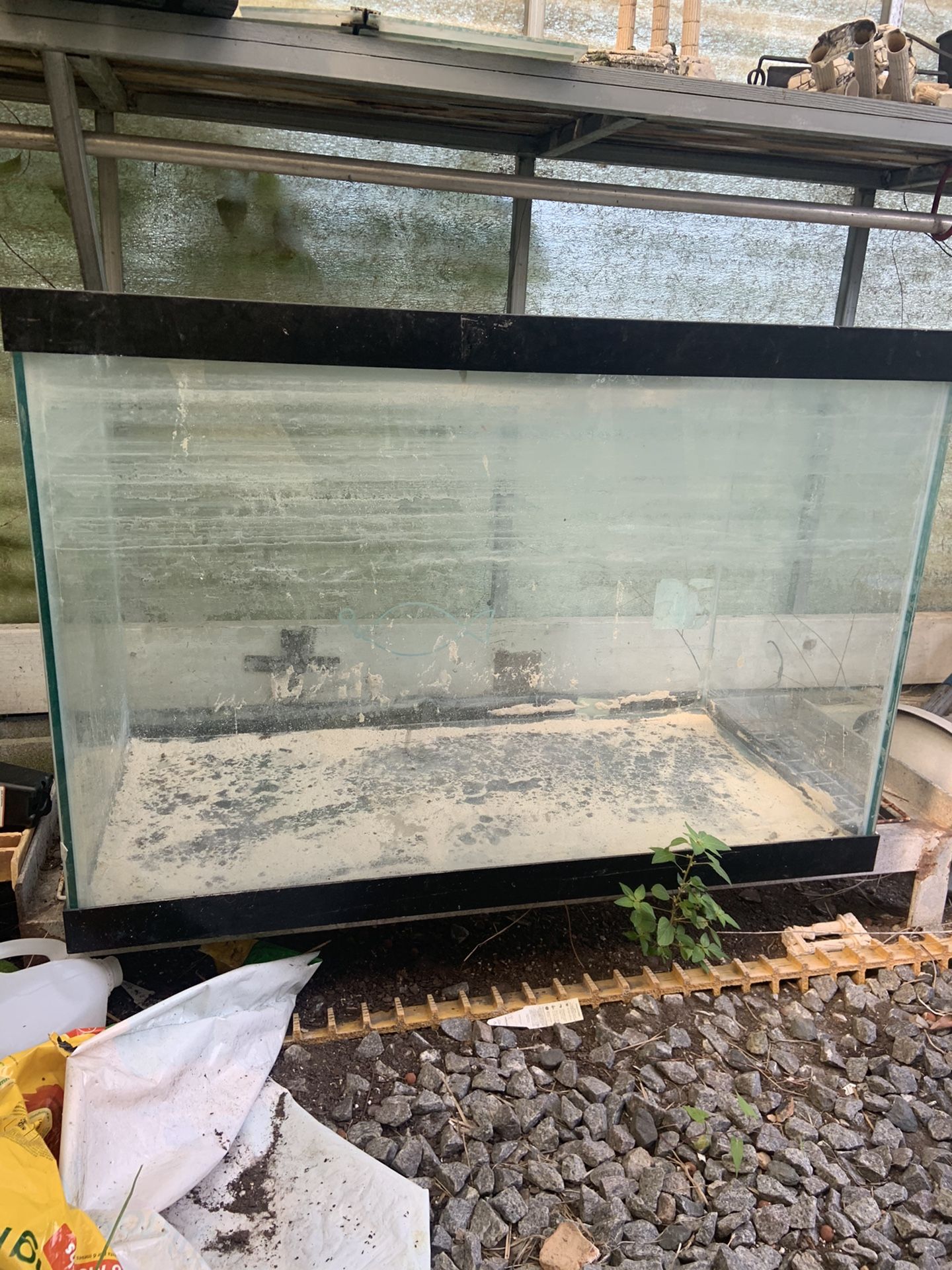 80 gallon fish tank offer
