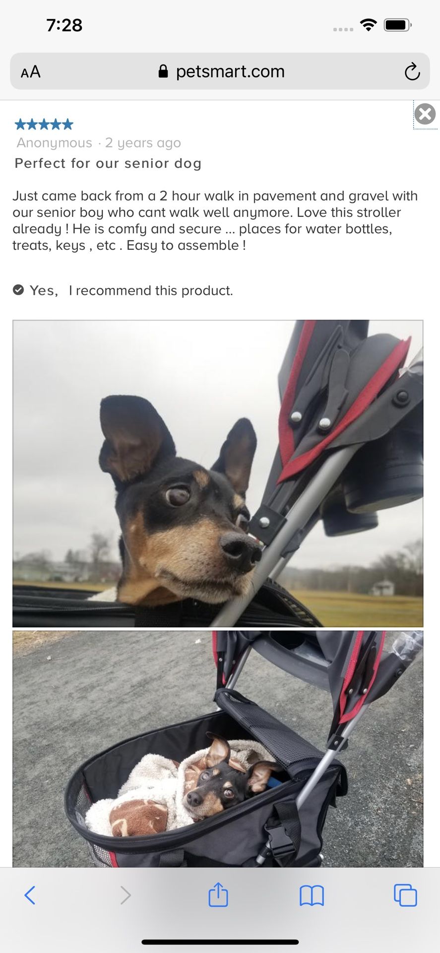 Pet Stroller Unisex
