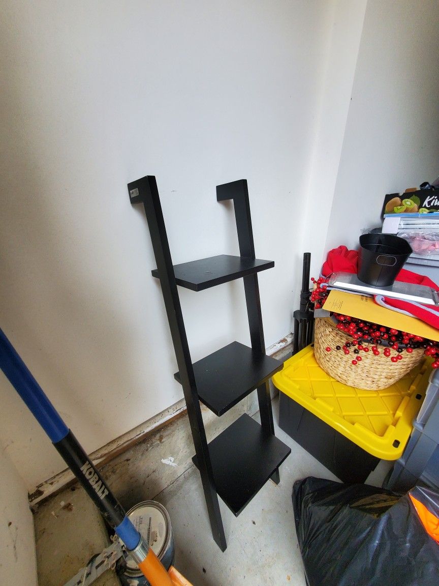 Ladder Shelf