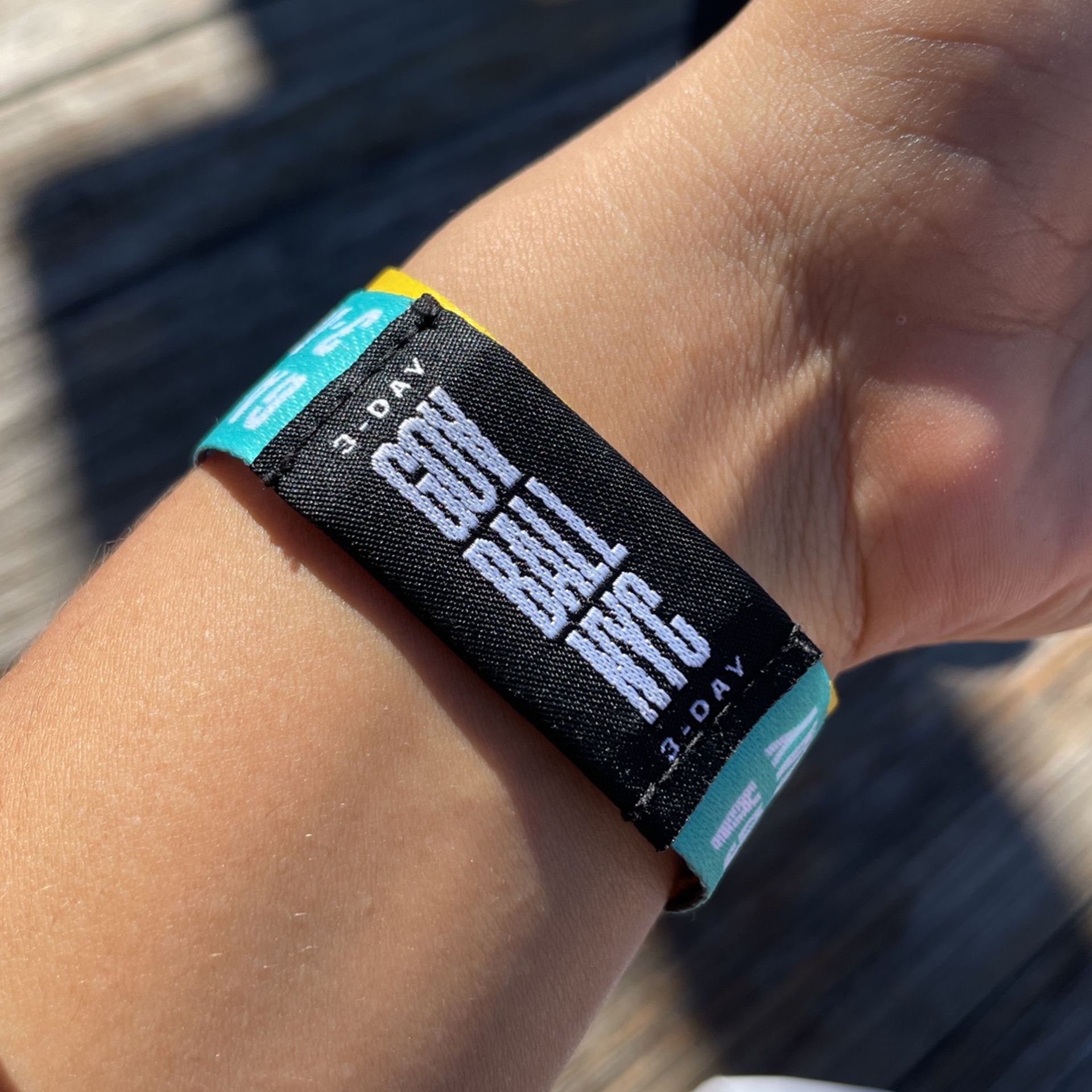 Today And Tomorrow Pass To Gov Ball