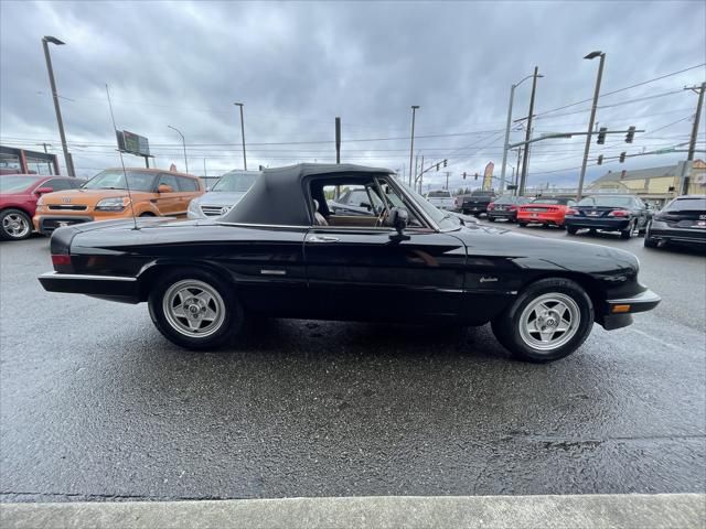 1988 Alfa Romeo Spider