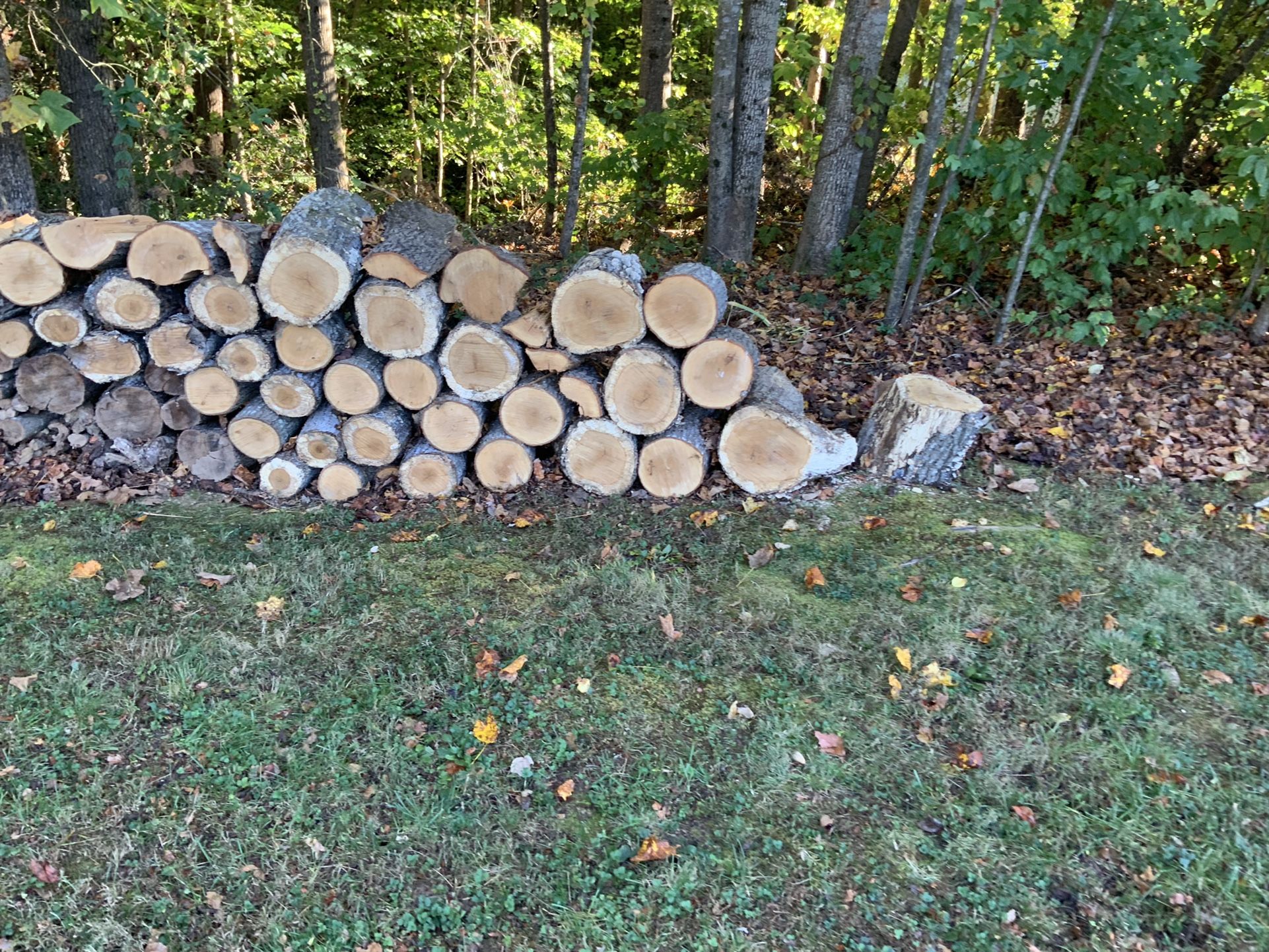 Free Wood