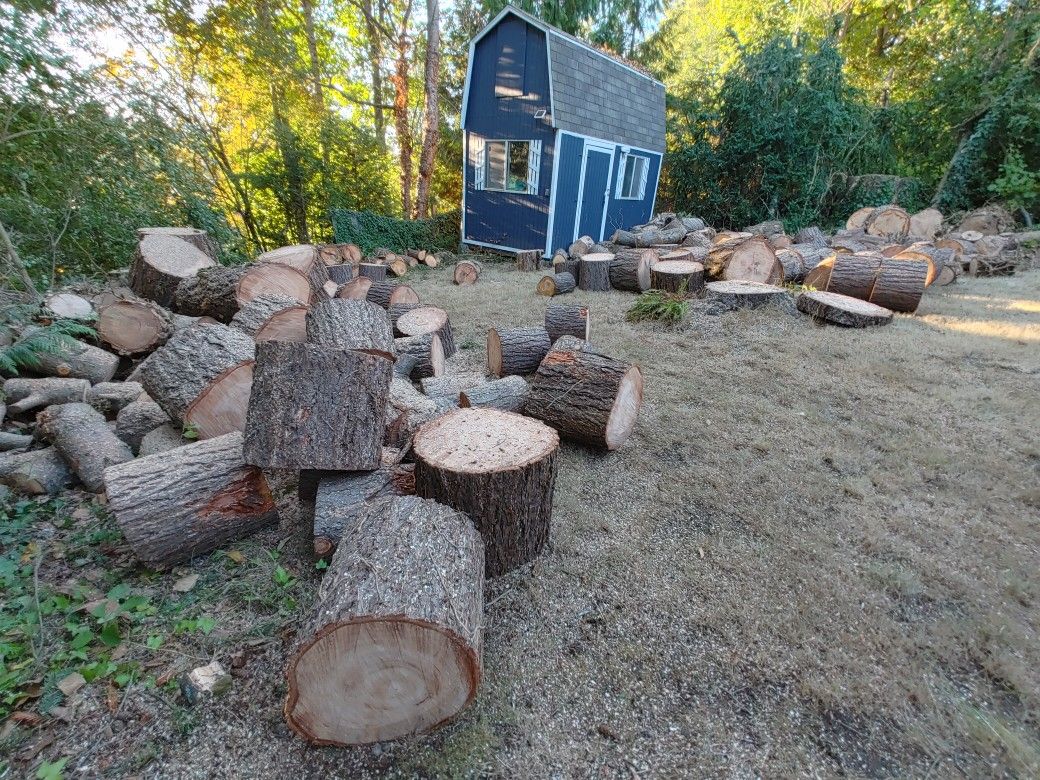 Free Fire Wood