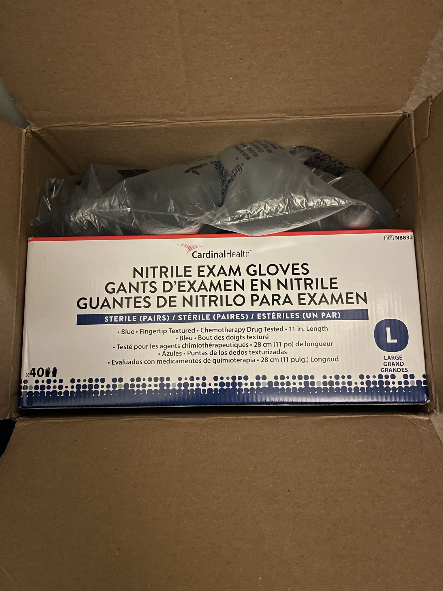 Nitrile Exam Gloves Two Large 