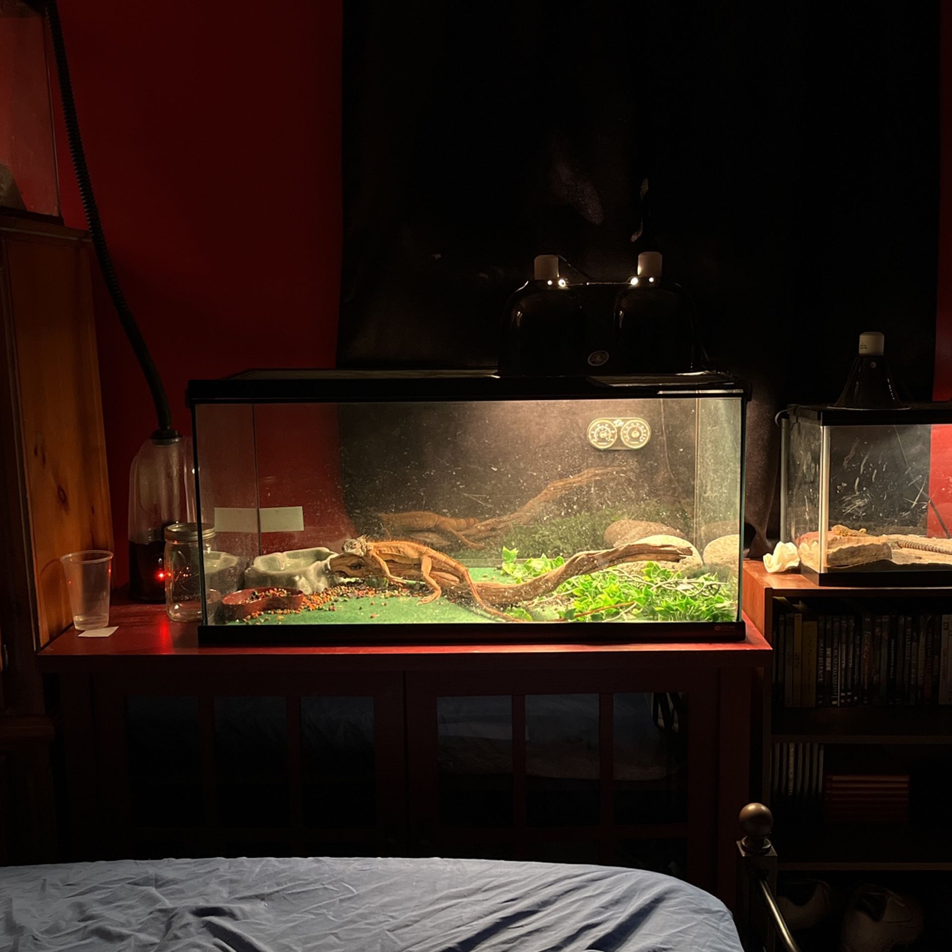 Zillow’s Critter Cage And Accessories