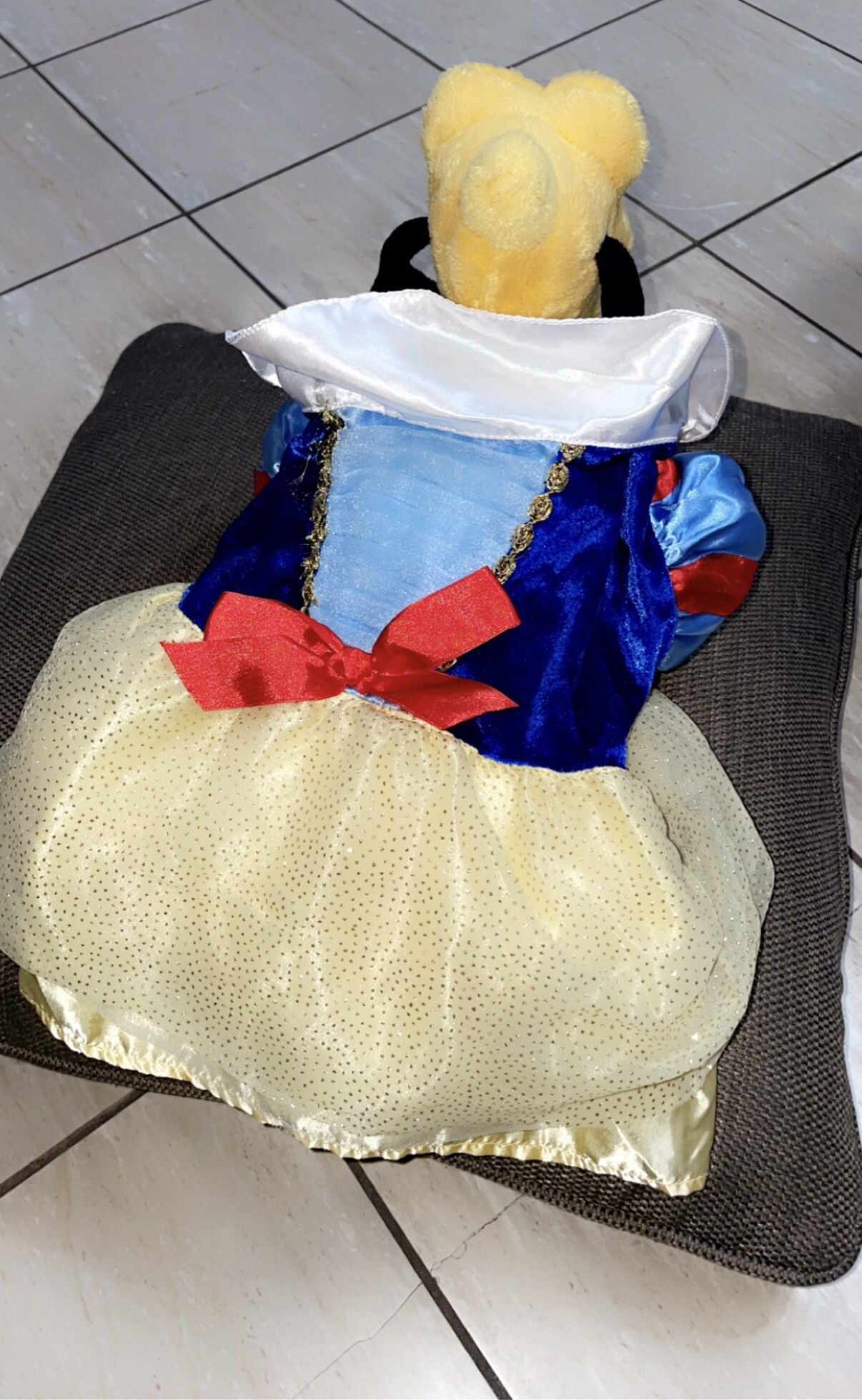 Dog Halloween Costume