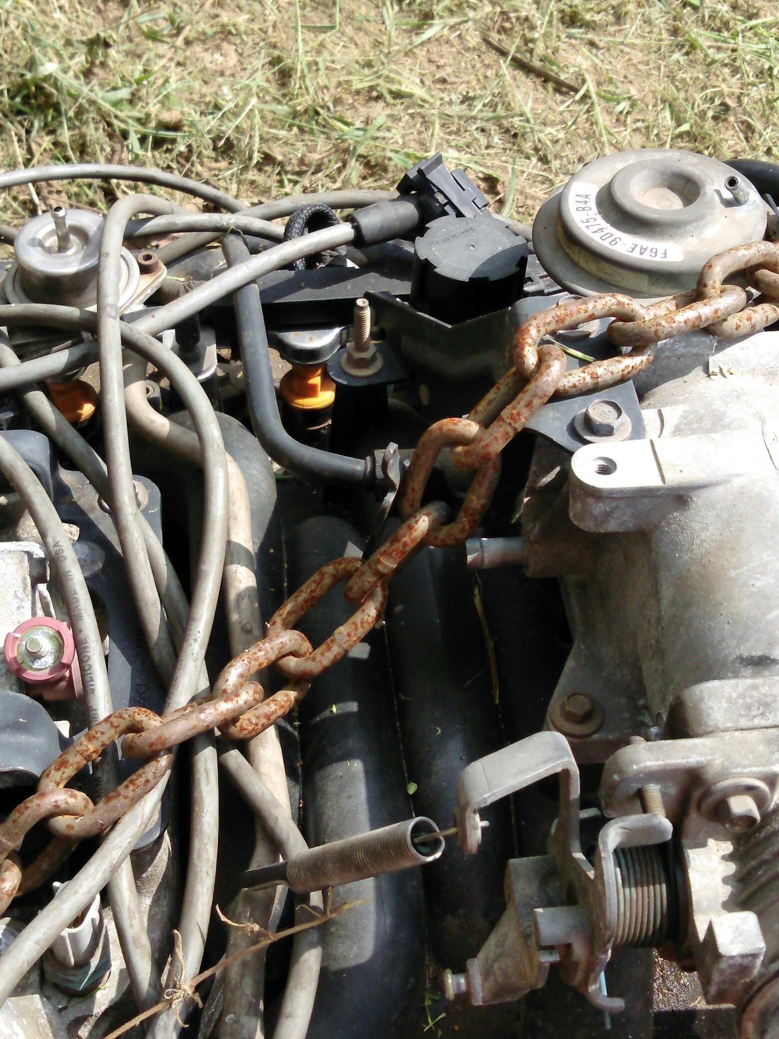 Motor